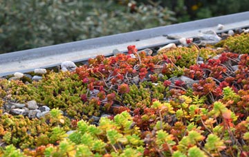 the cost of Woodburn green roof installation