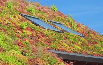 Woodburn living roof systems