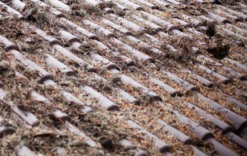 Woodburn roof cleaning companies