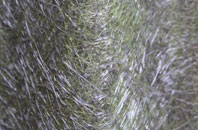 Woodburn fibreglass roof work